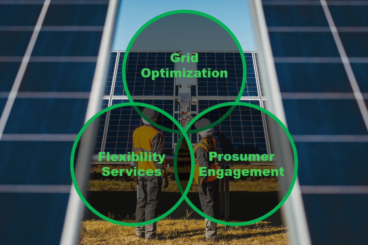 Schneider Electric optimiza la gestión de los DER con su nuevo enfoque Grid to Prosumer