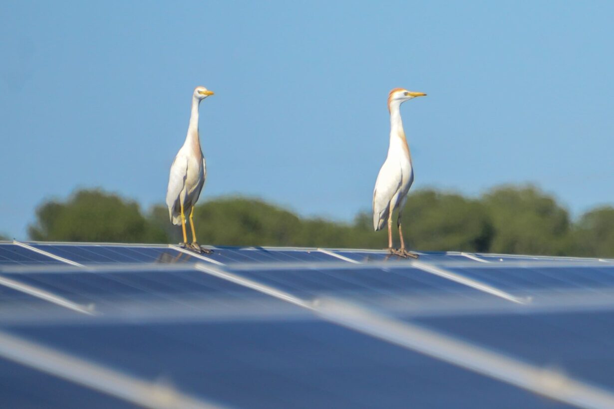 La energía solar contribuyó a la lucha contra el Cambio Climático evitando la emisión de 11.26 Millones de Tn de CO2 sólo en España