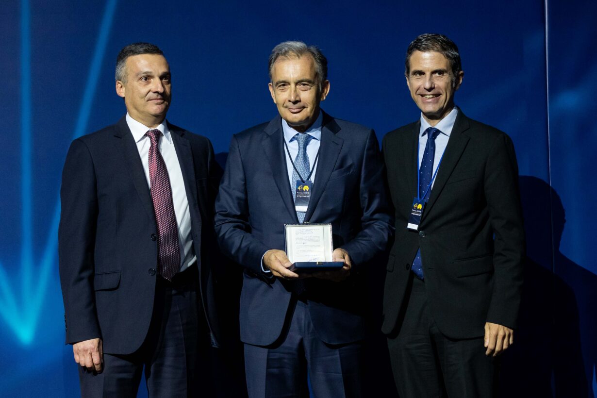 Pemsa recibe en la IV edición de los premios AEDHE, el Premio Excelencia a la mejor 'Empresa industrial'