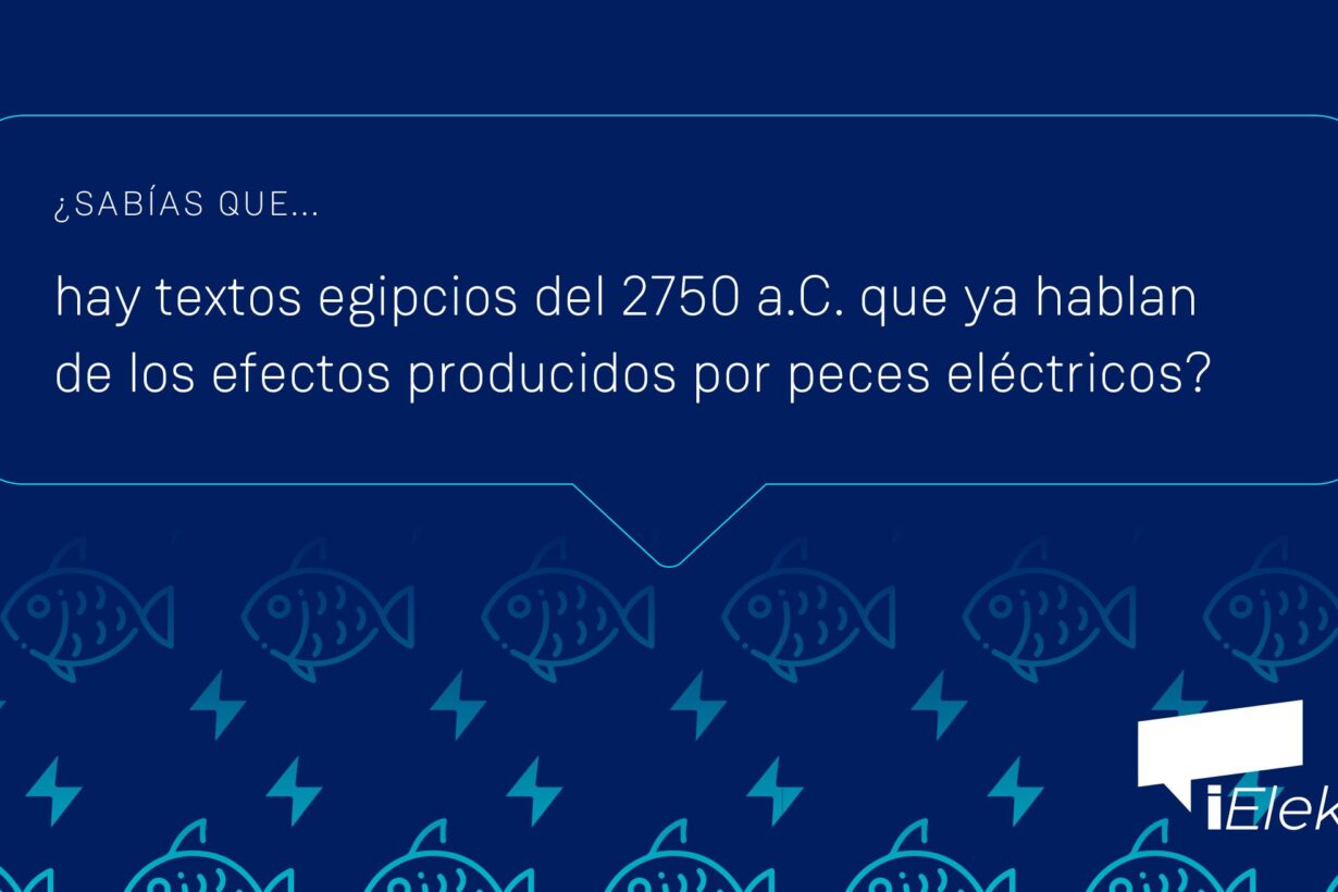 ¿Sabías que hay textos de hace 5.000 años que ya hablan de "peces eléctricos?