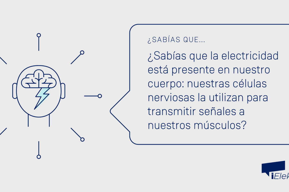 Sabías que la electricidad está presente en nuestro cuerpo