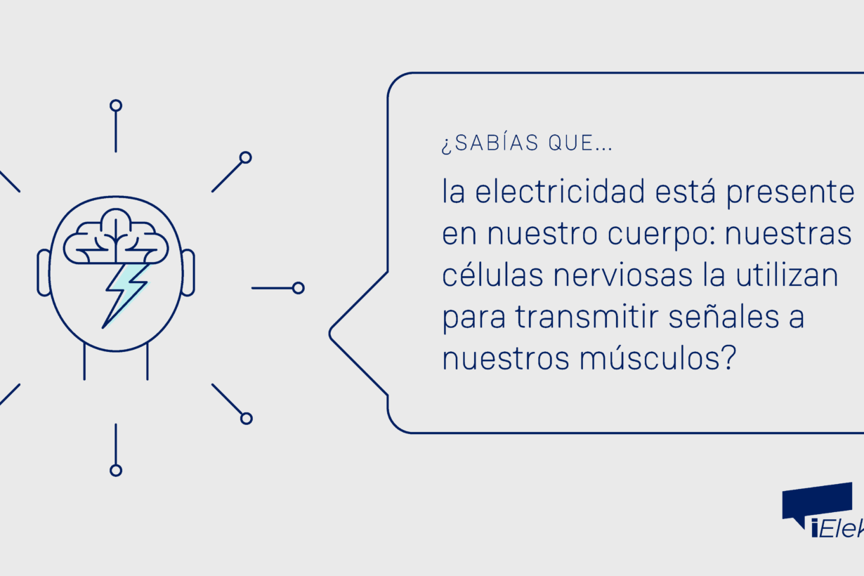 Sabías que la electricidad está presente en nuestro cuerpo