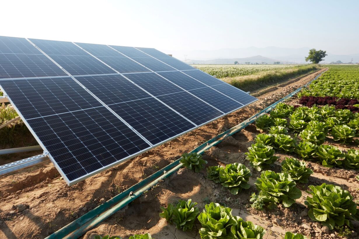 ABB lanza a nivel mundial un innovador convertidor solar para el bombeo sostenible de agua