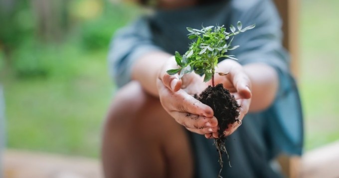 El programa Schneider Electric Sustainability Impact sigue avanzando en el primer trimestre de 2024