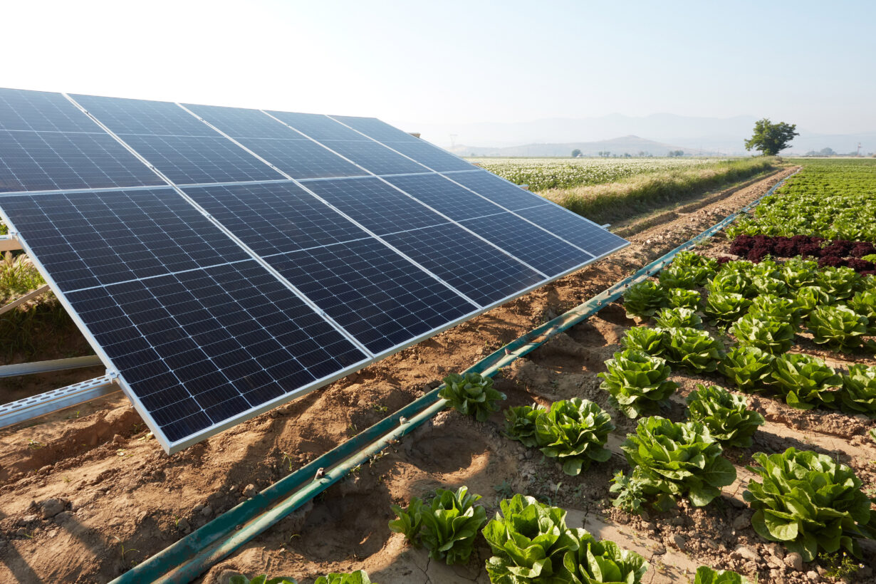 ABB anuncia la ampliación de potencia del variador de frecuencia ACQ80 para el bombeo solar, ahora disponible en configuraciones IP21 e IP55 hasta 200 kW